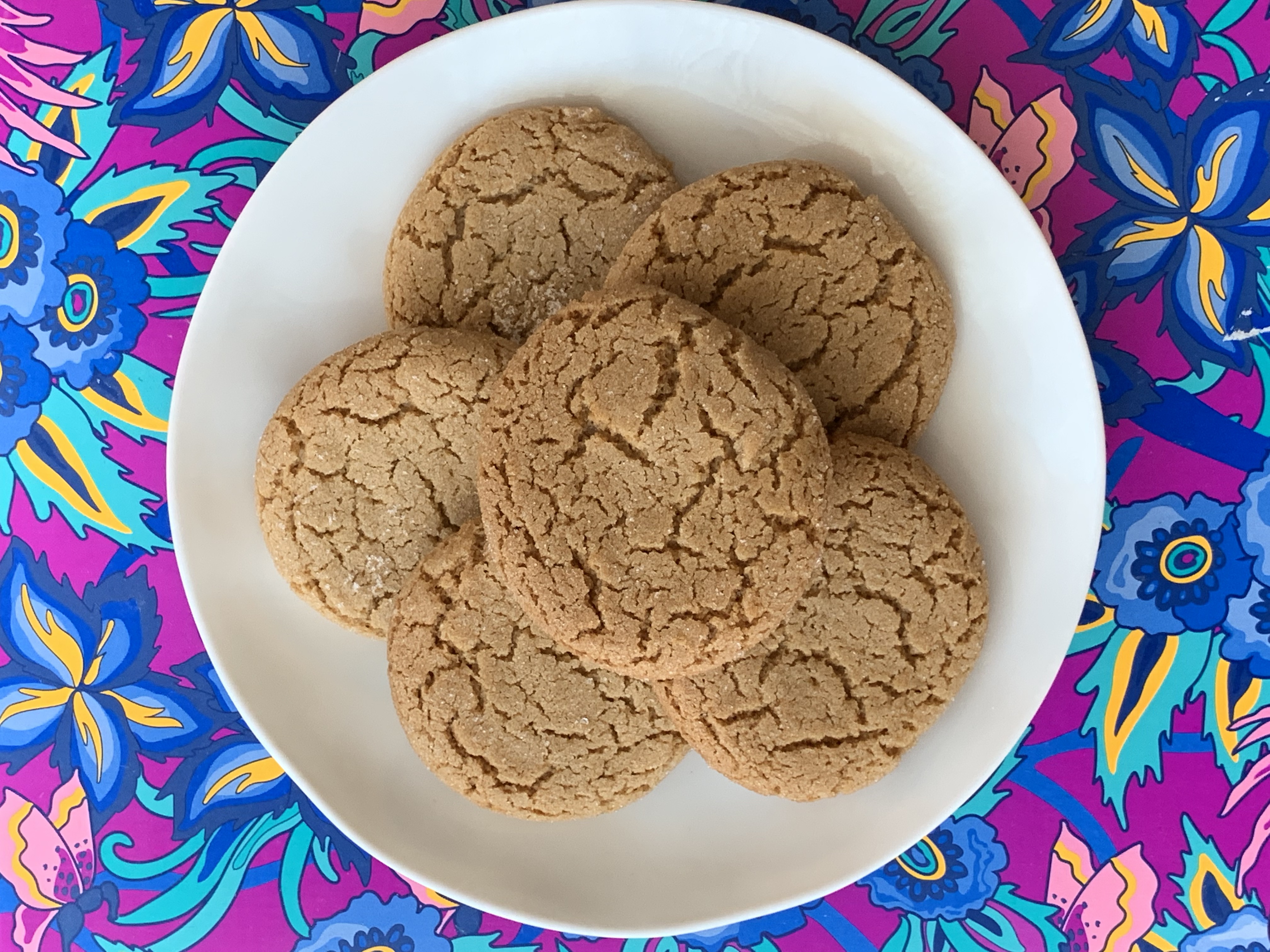 Six melitas cookies on a plate